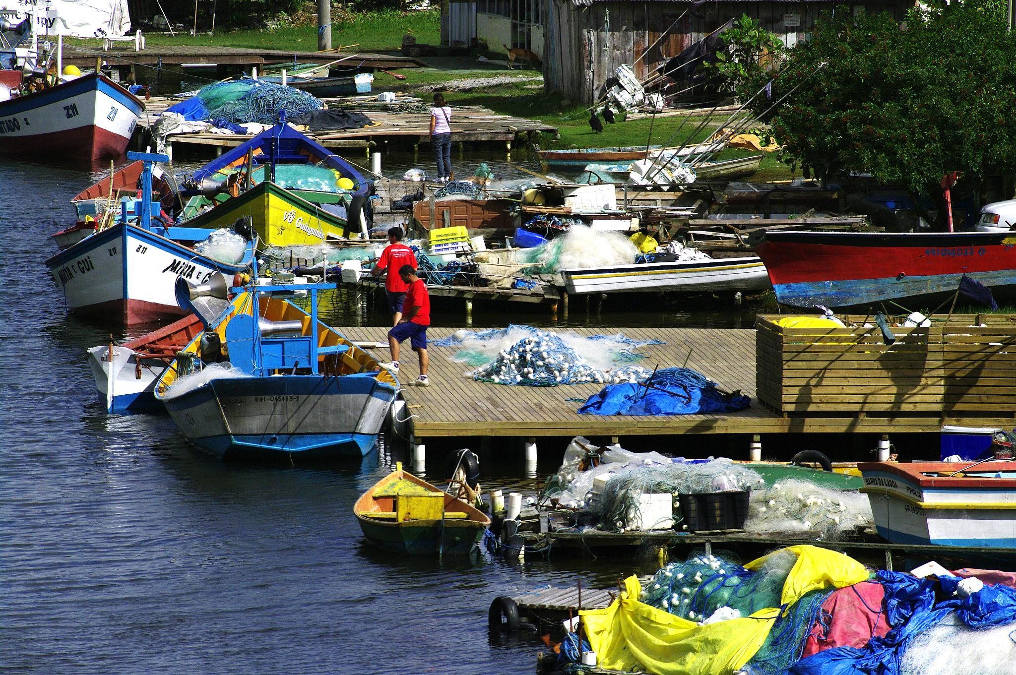 Barcos de pesca coloridos atracados no canal da Barra da Lagoa